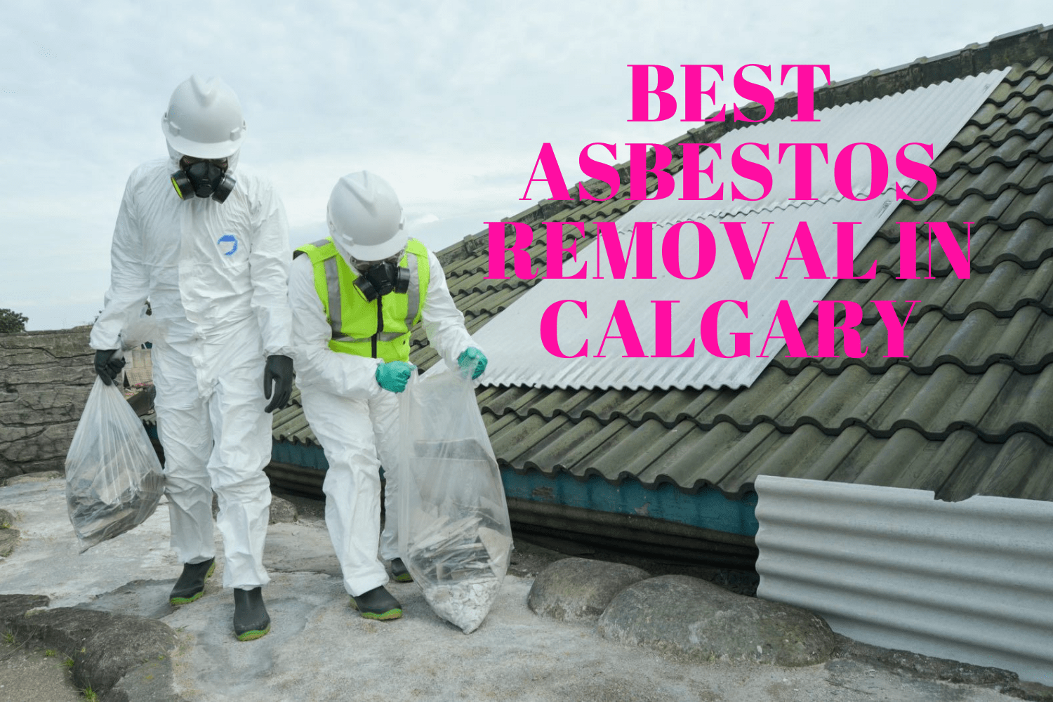 Asbestos abatement professionals