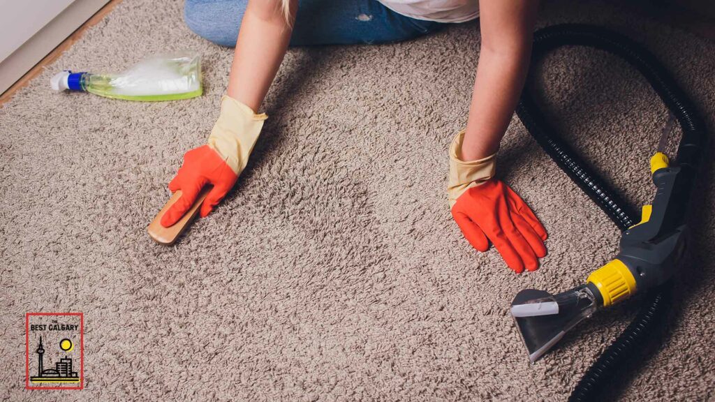 Best Carpet Cleaning in Calgary