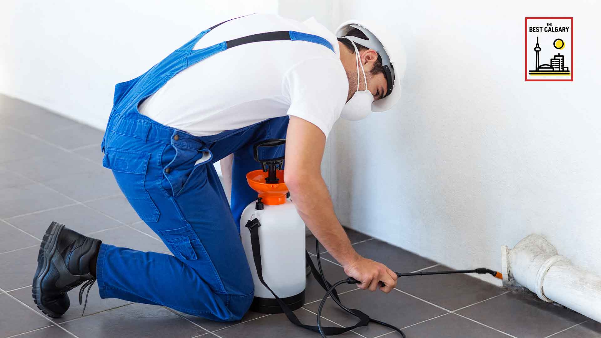 14 Best Pest Control and Exterminators in Calgary [2025 ]