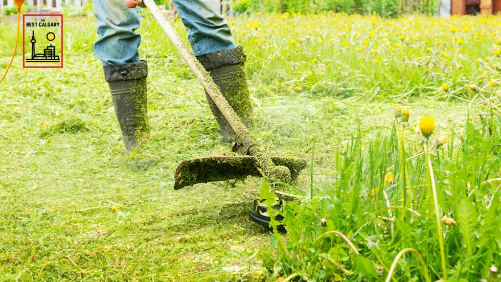 Best Landscaping Contractors in Calgary