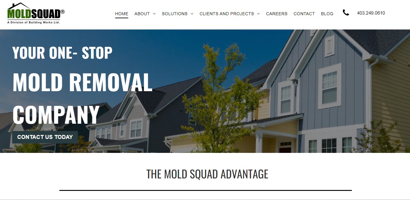 Mold Squad