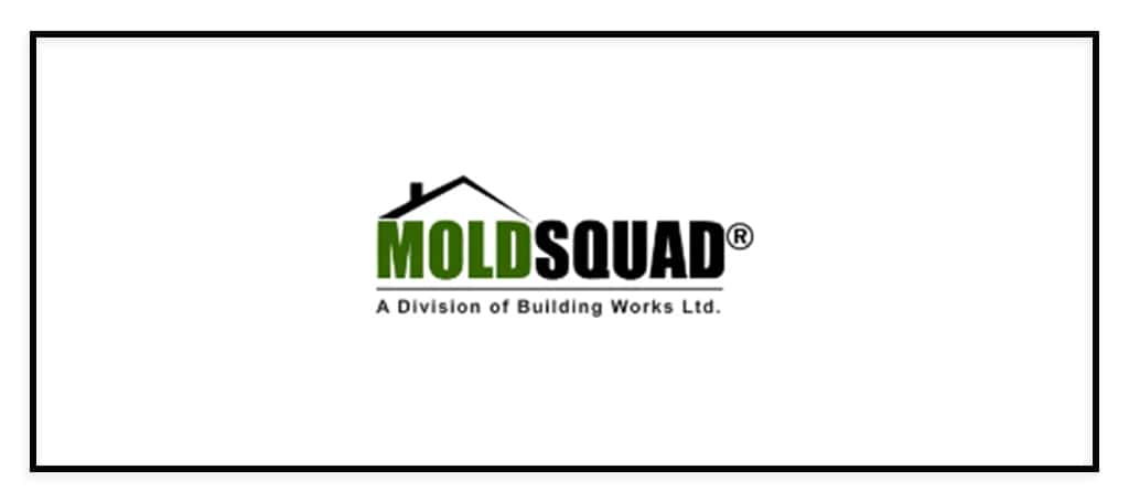 Mold Squad's Banner