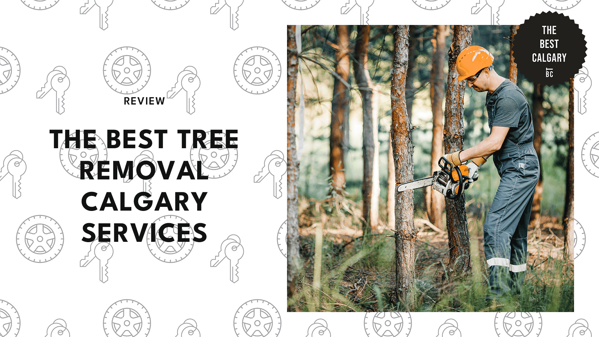 The 12 Best Tree Removal Calgary Services