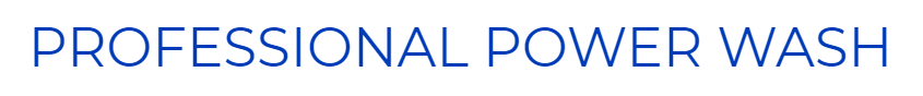 Professional Power Wash's Logo