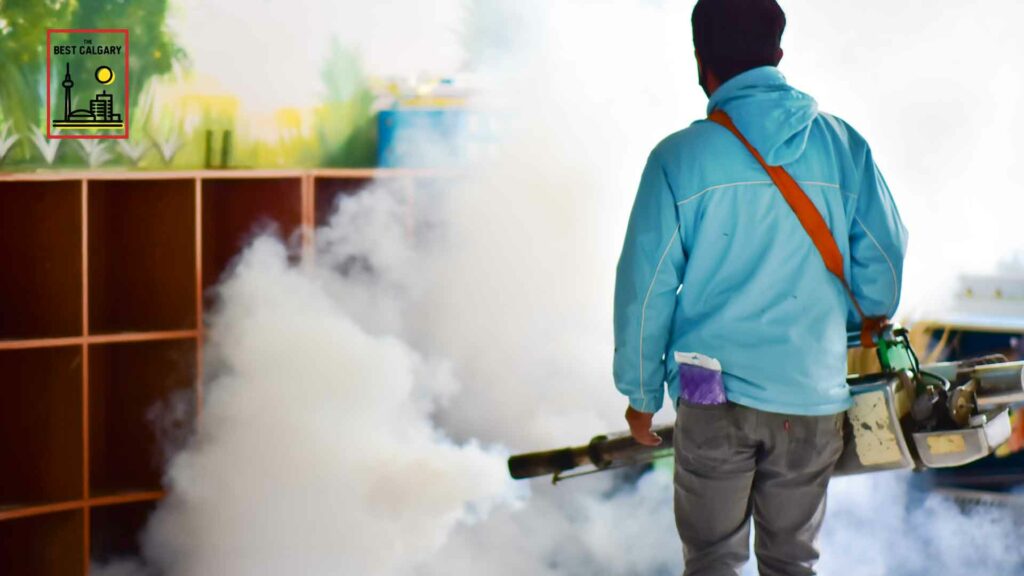 Best Bed Bug Exterminators in Calgary