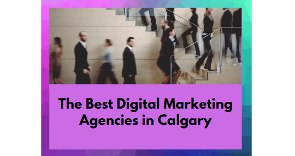 Home - Toronto Digital Marketing Agency