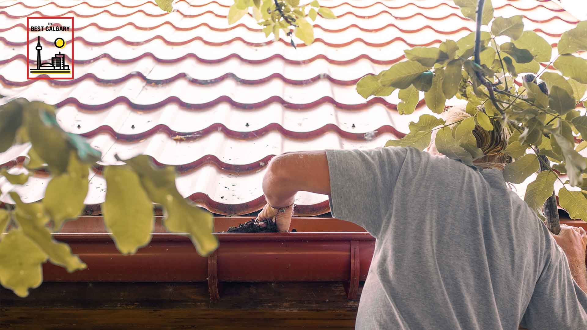 Best Gutter Cleaning in Calgary