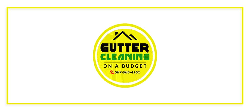 Gutter Cleaning on a Budget's Banner