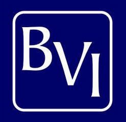 Bow Valley Insurance's Logo