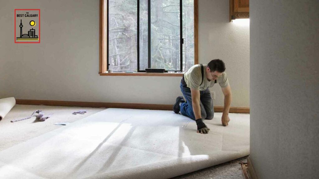 Carpet companies deals