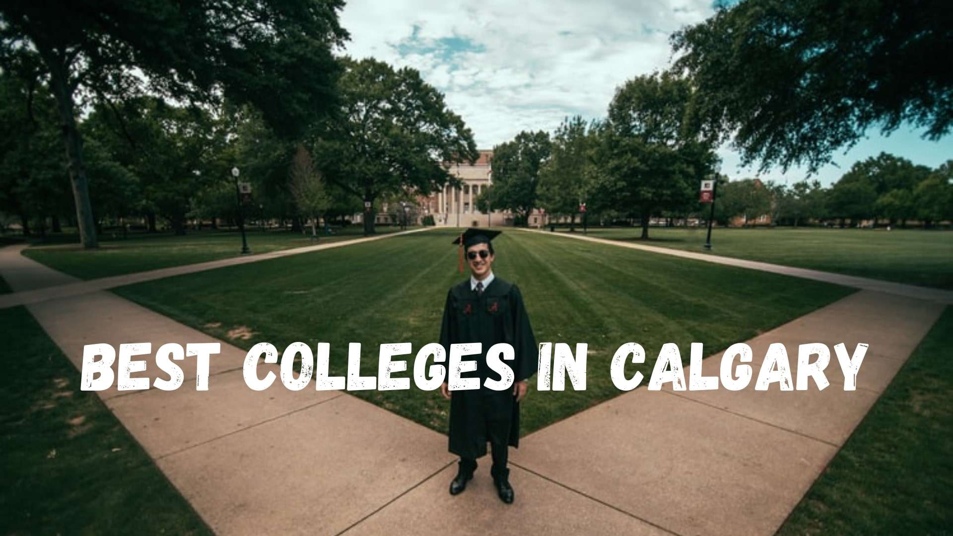 5 Best Colleges in Calgary [2022 ]