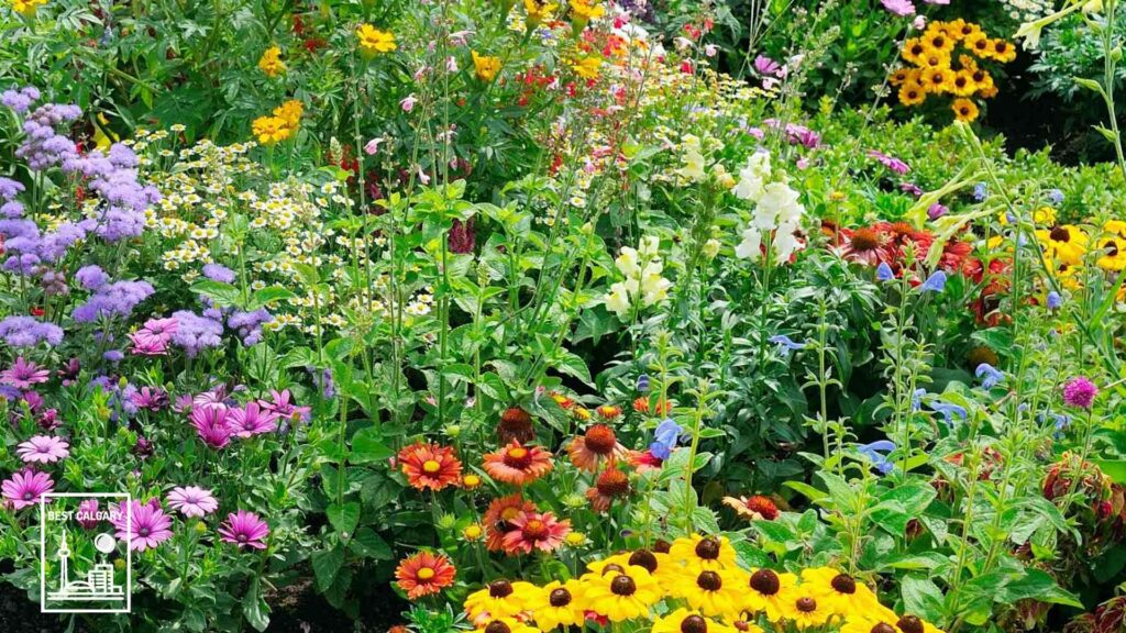 Best Gardens in Calgary