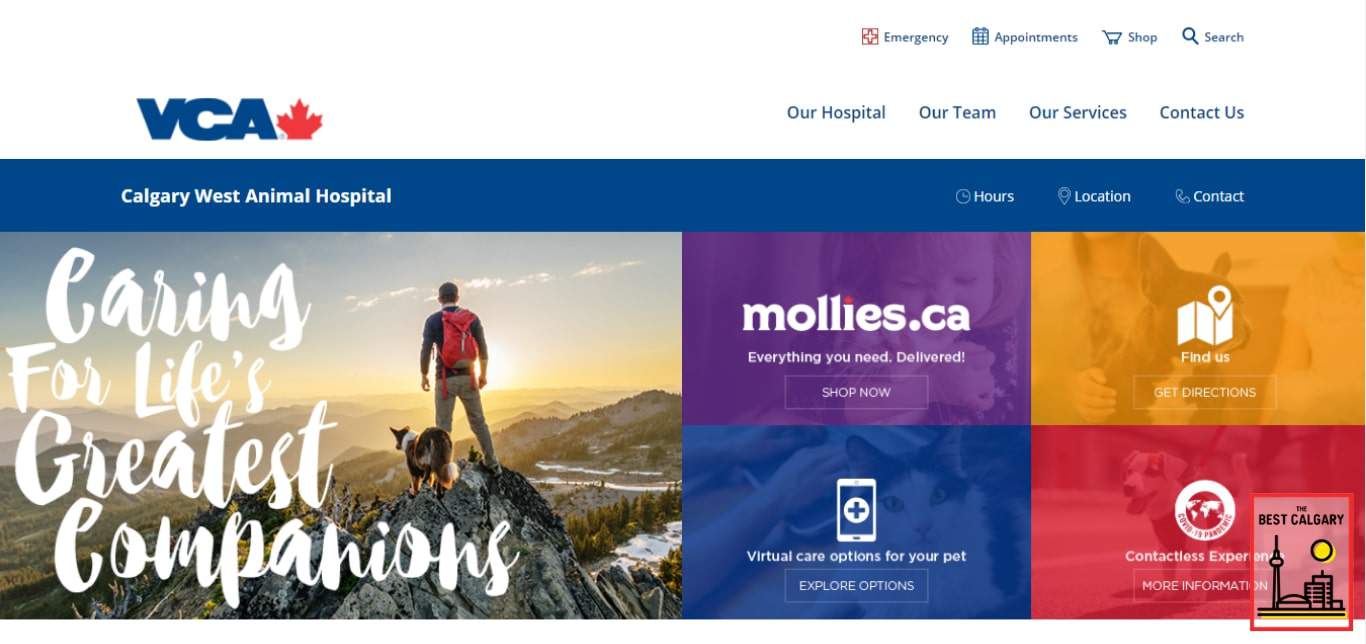 The 13 Best Animal Hospitals in Calgary - The Best Calgary The 13 Best Animal Hospitals in Calgary - The Best Calgary