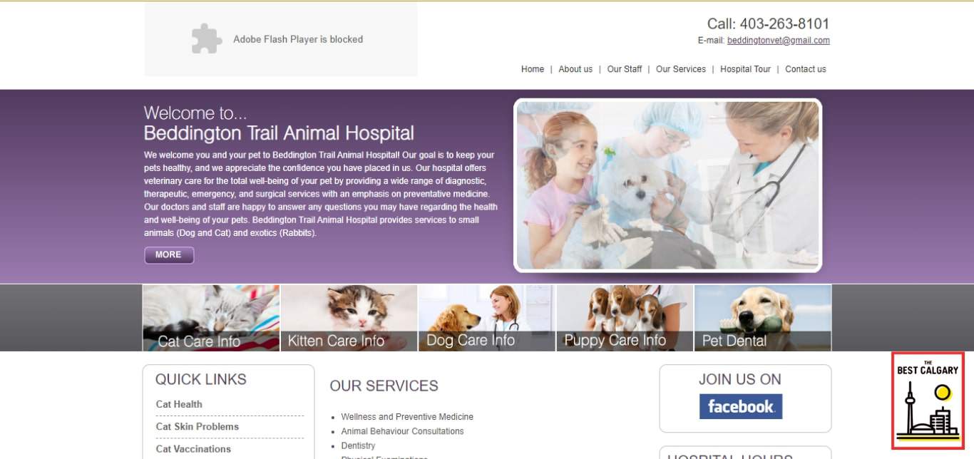 Beddington Trail Animal Hospital's Homepage