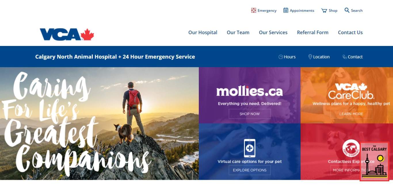 Calgary West Animal Hospital's Homepage