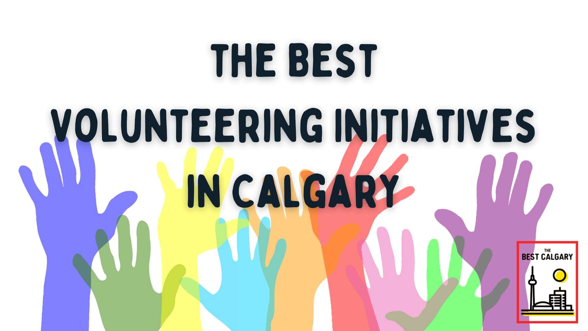 best buddies online volunteer