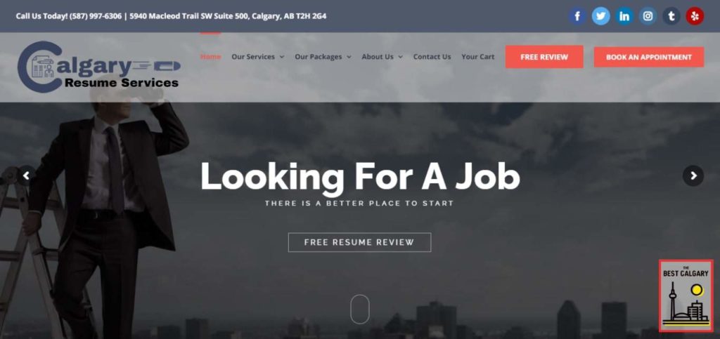 10 best resume writing services calgary