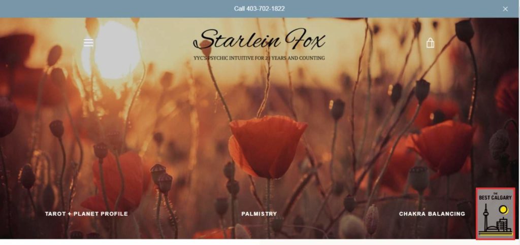 Psychic Intuitive Starlein Fox's Homepage
