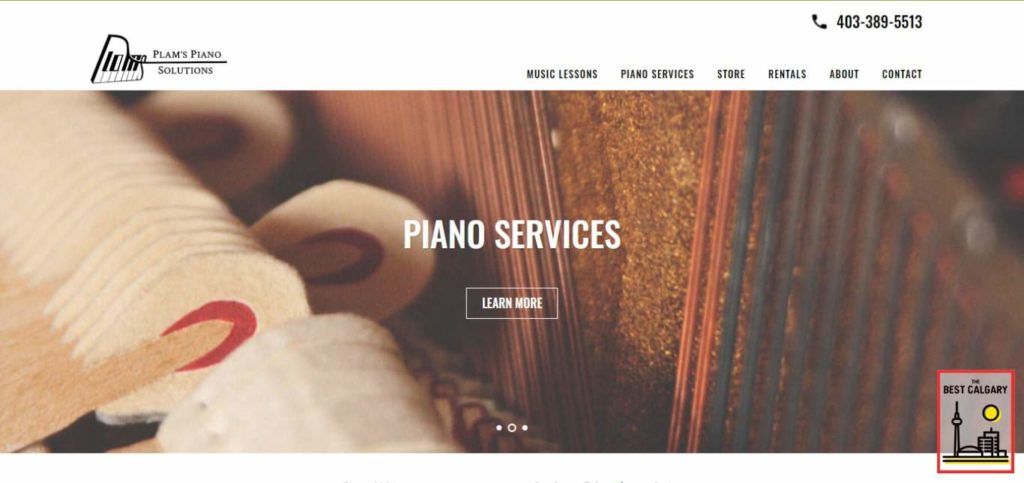 Plam's Piano Solutions' Homepage