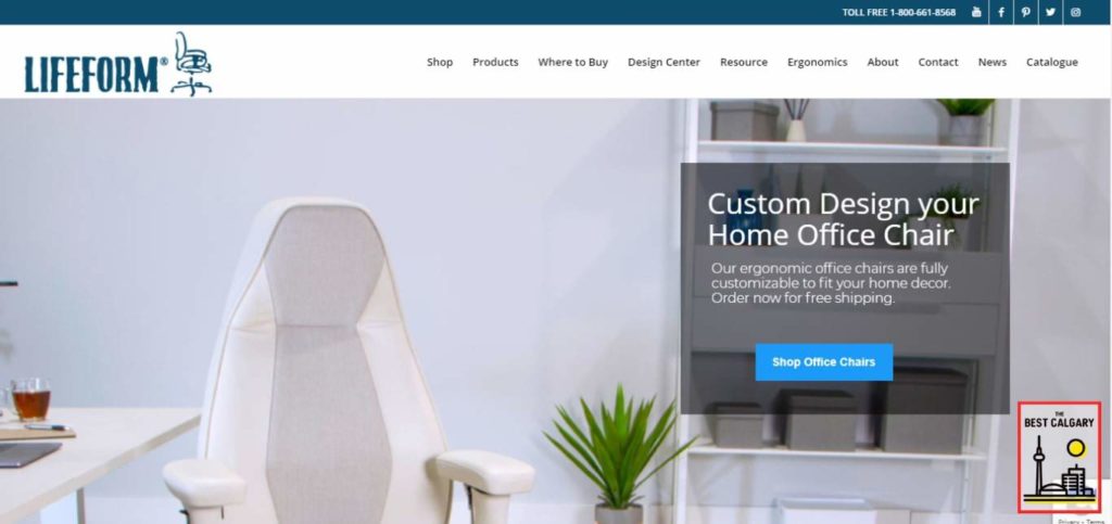 LIFEFORM Chairs' Homepage