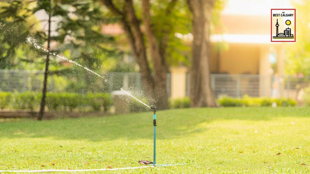 Best Sprinkler System in Calgary