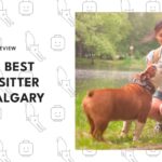 best-pet-sitters-calgary-banner