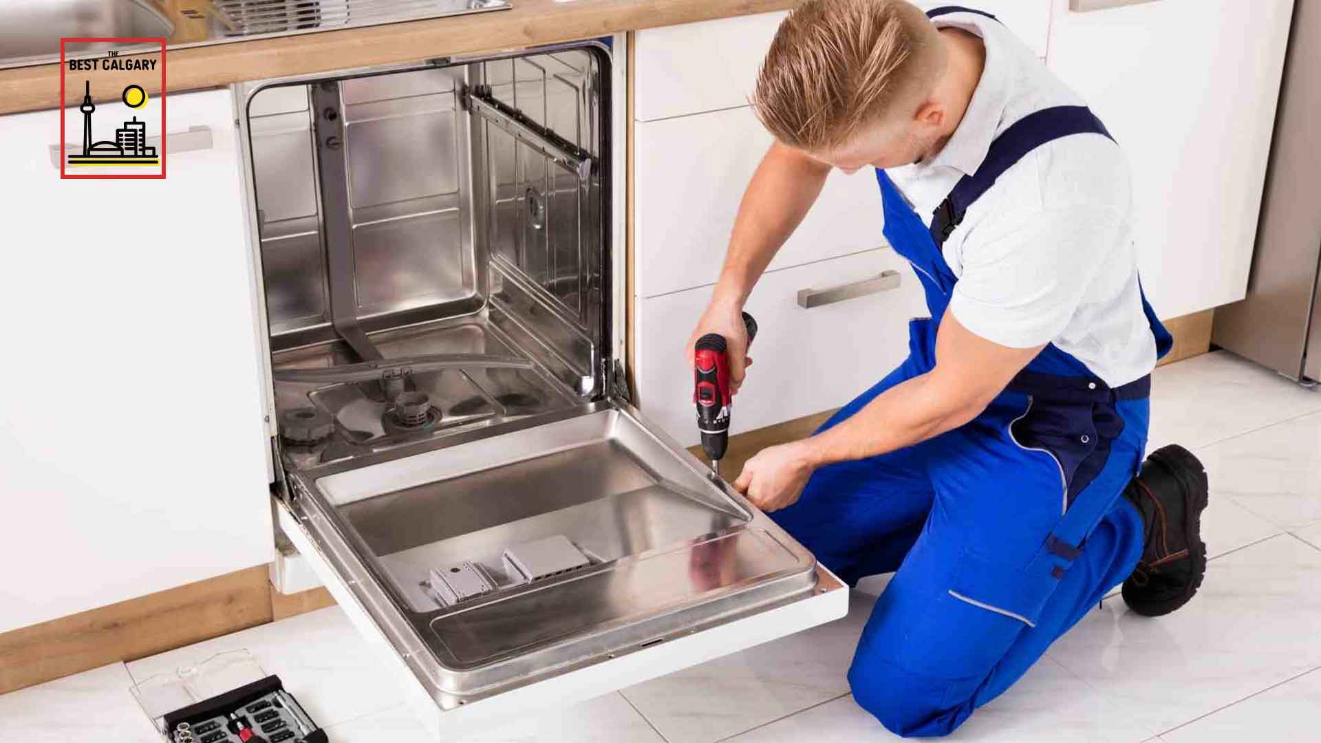 Dishwasher repair