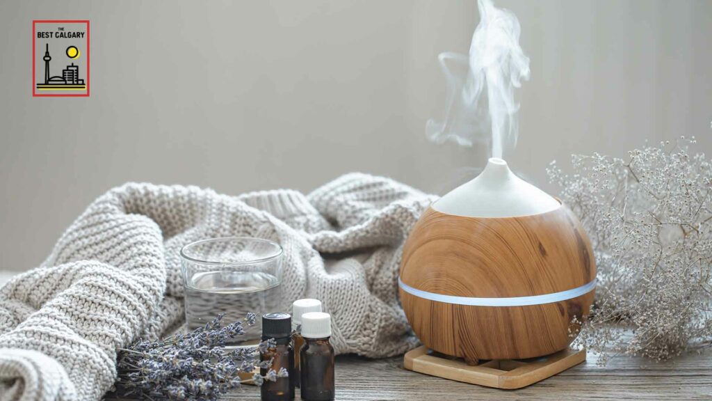 Best Humidifiers in Calgary