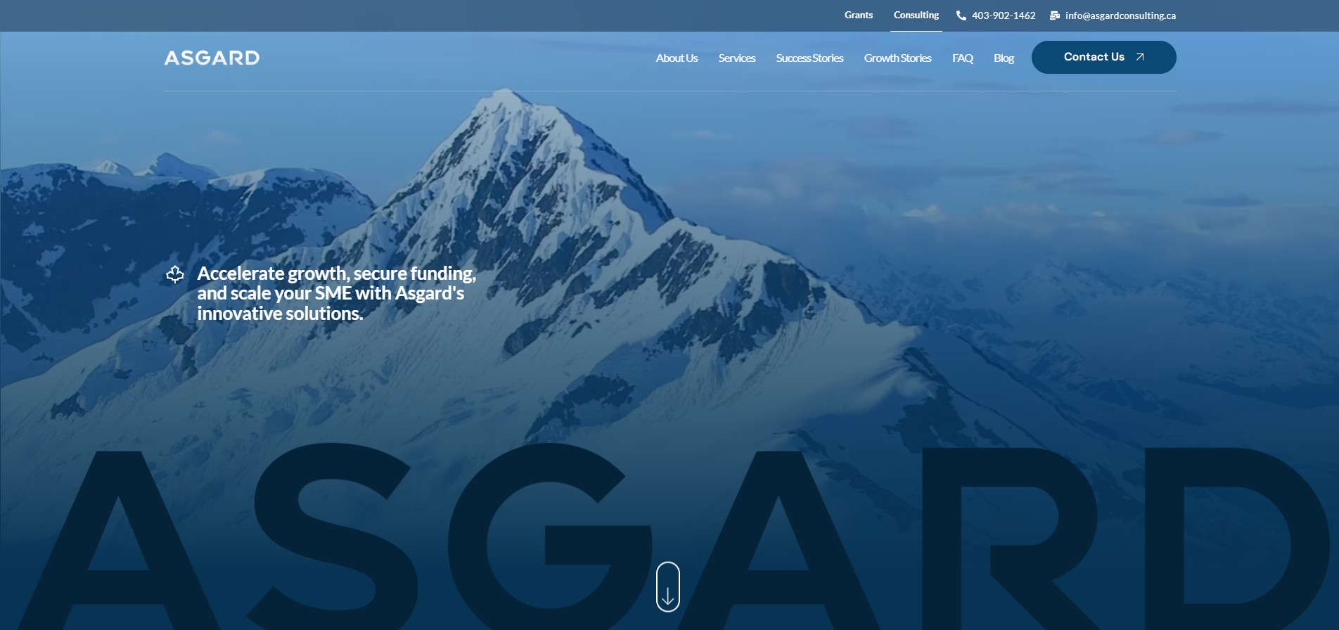 asgard consulting homepage