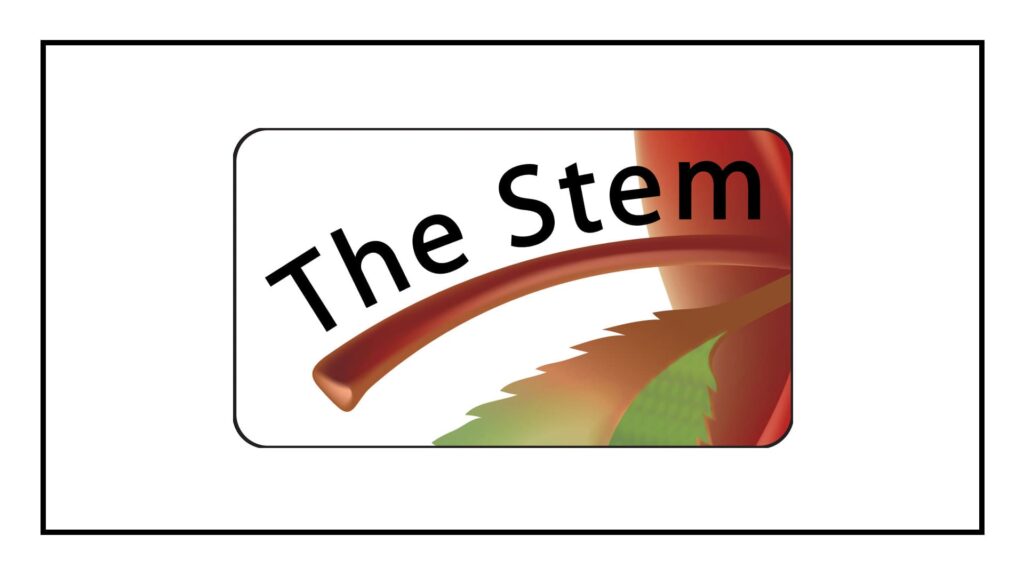 the-stem-support