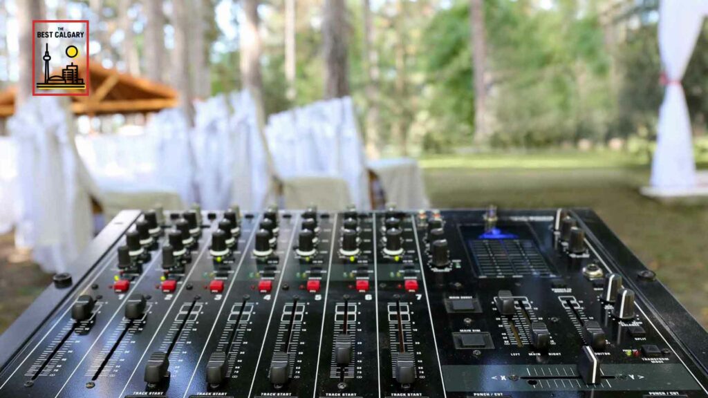 Best Wedding DJs in Calgary