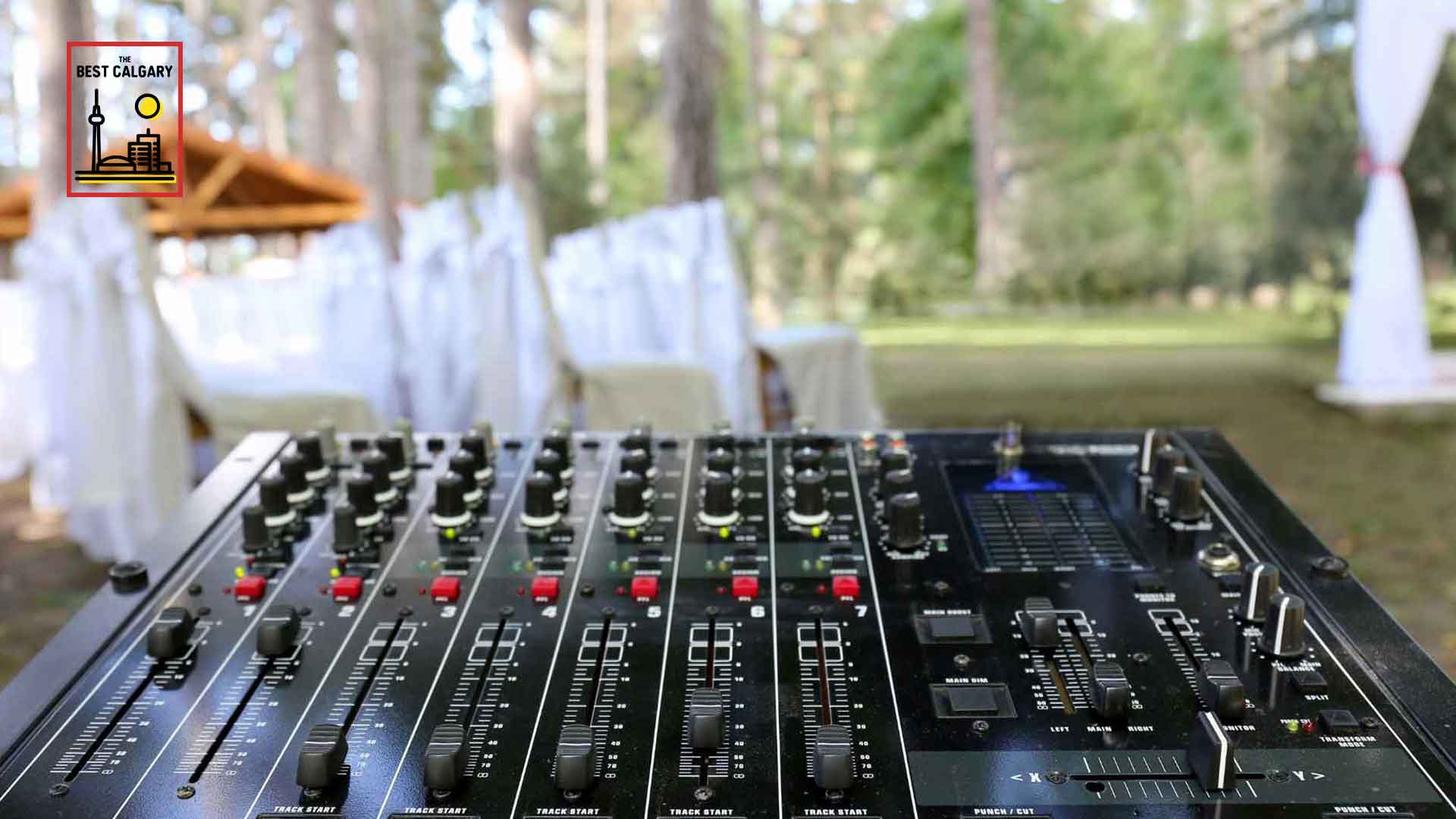 Best Wedding DJs in Calgary