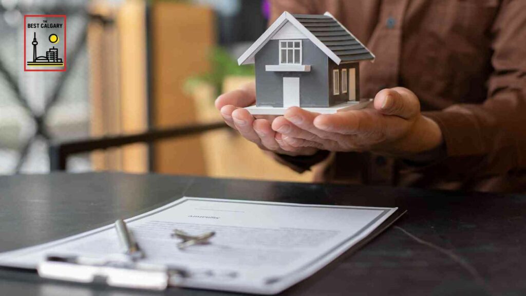 The Calgarian Homeowners' Guide to Basic Home Maintenance