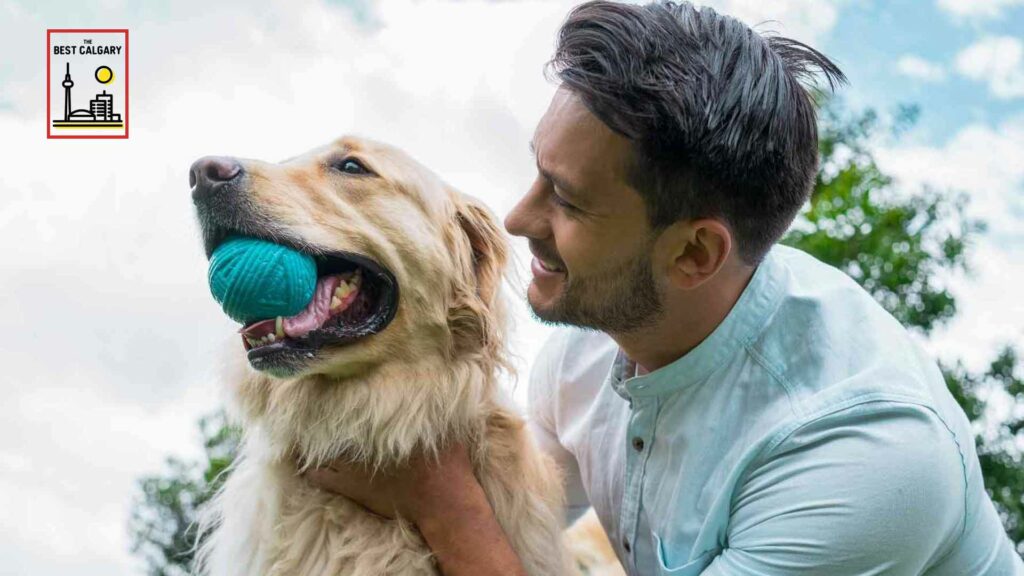 3 Reasons Why Calgary is a Pet-friendly City