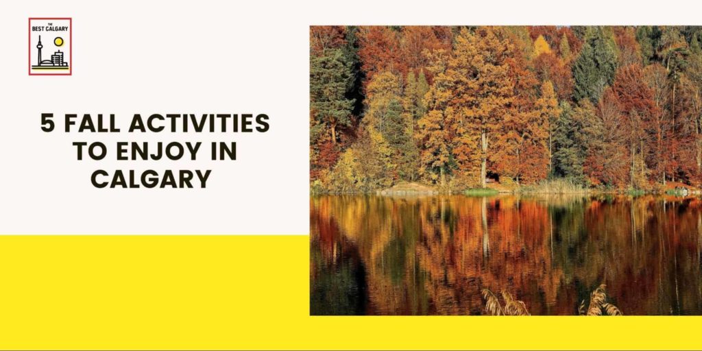 5 Fall Activities to Enjoy in Calgary