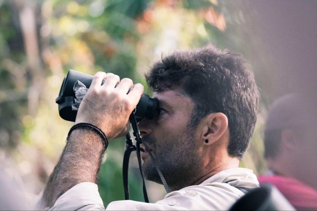 Bird watching