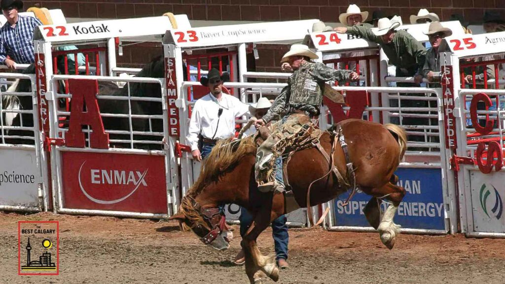 What is the Calgary Stampede?