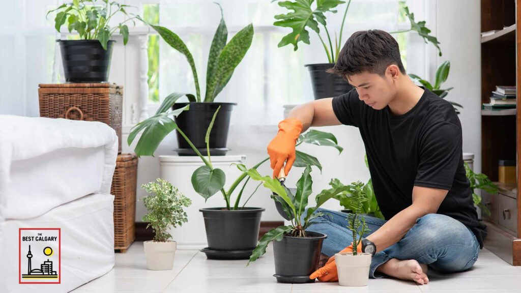 10 New Hobbies to Try in Calgary