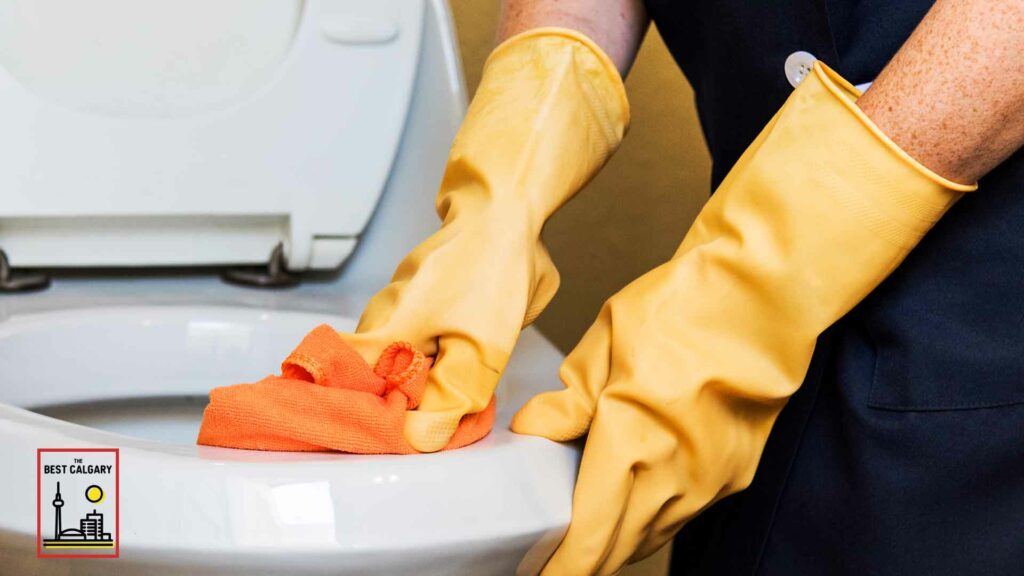 5 Quick Steps to a Clean Bathroom