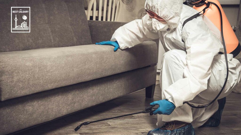 5 Tips for a Pest-Free Home