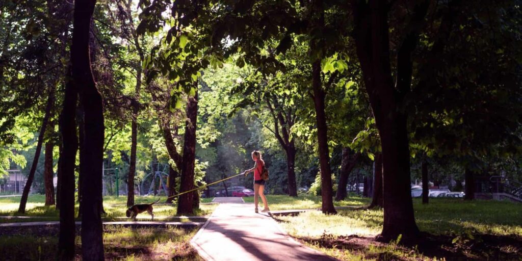 City Safety and Walkability With Pets