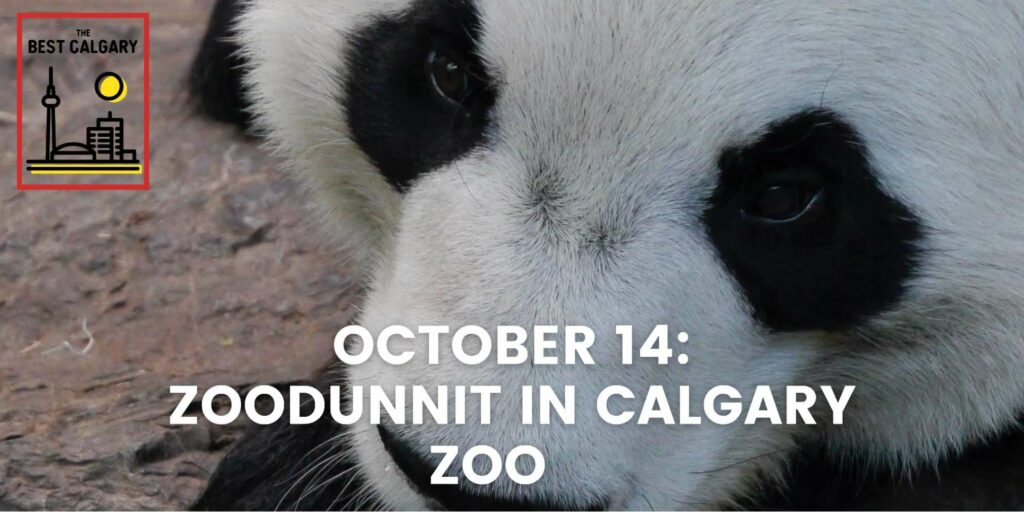 October 14 ZooDunnit in Calgary Zoo