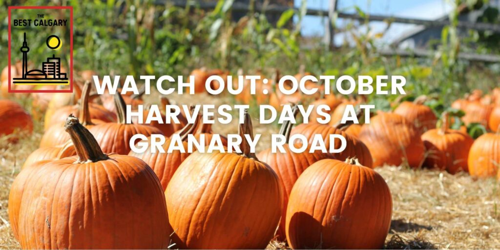 Watch Out October Harvest Days at Granary Road