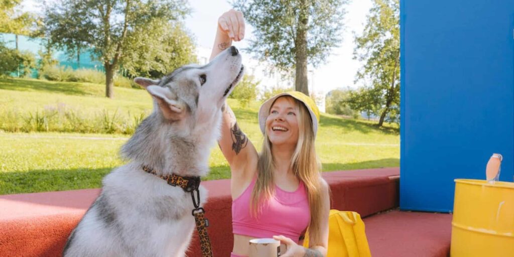 Where to Eat With Your Dog