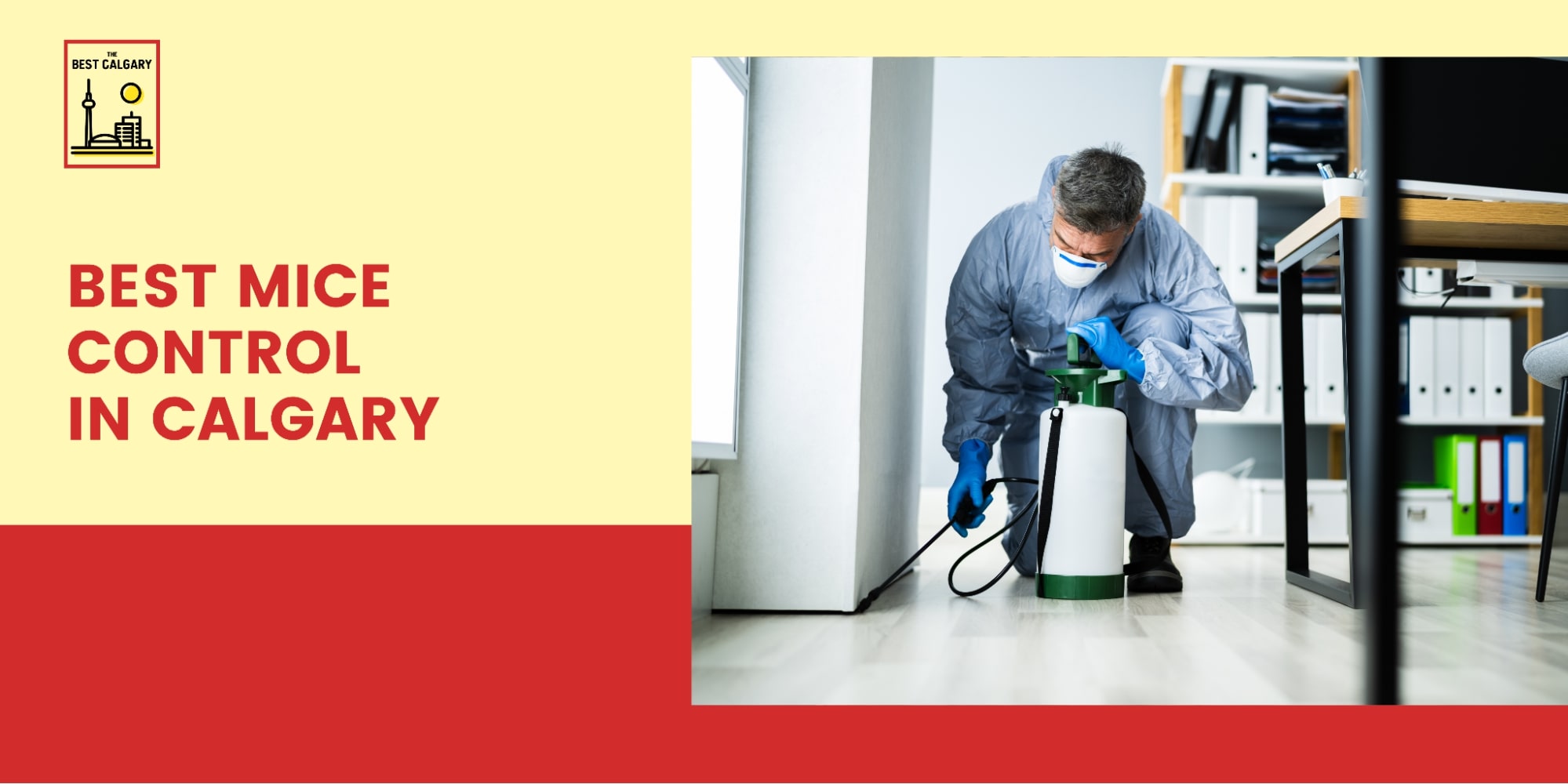 Reviewed: Top 5 Mice Control Services in Calgary [2025]