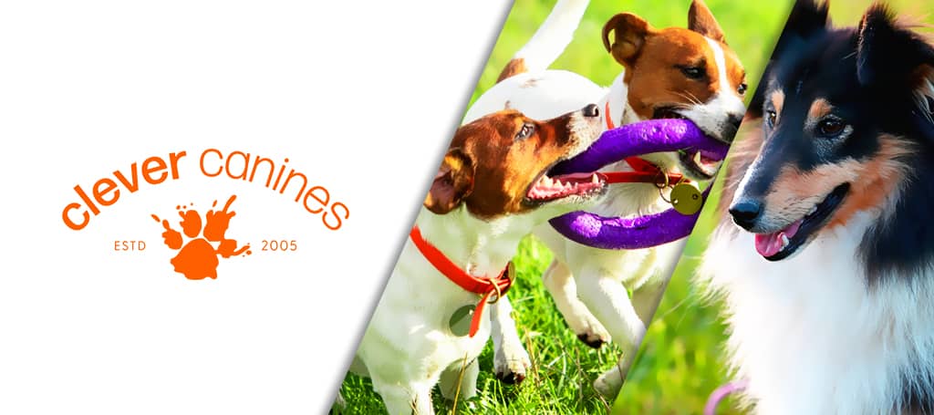 Clever Canine Banner