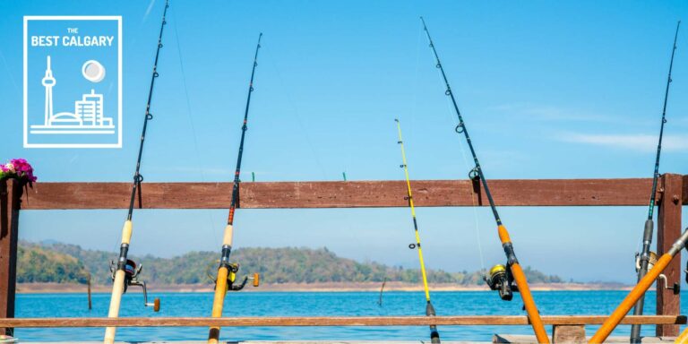 Fishtival A Must See Event in February