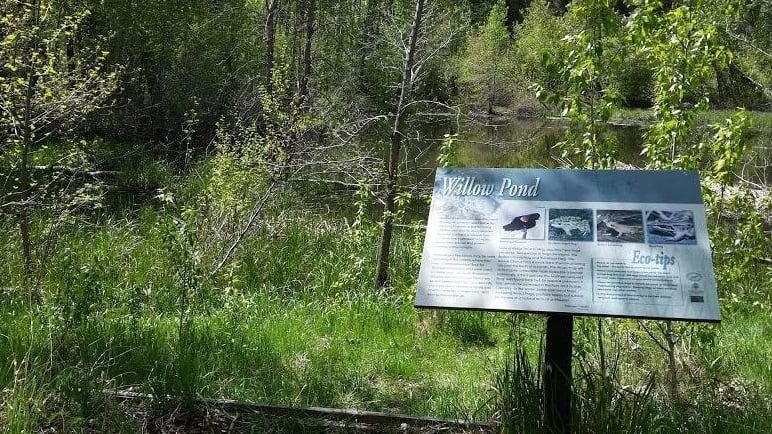 Lawrey Gardens