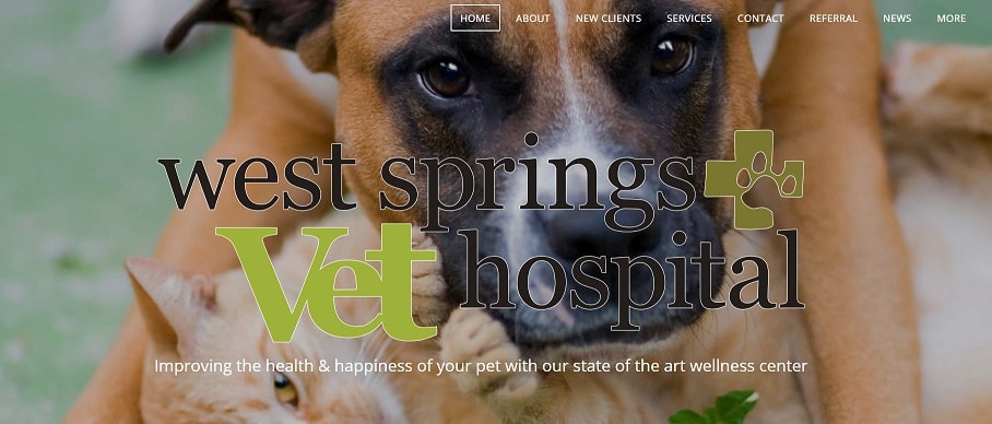 West Springs Veterinary Hospital's homepage