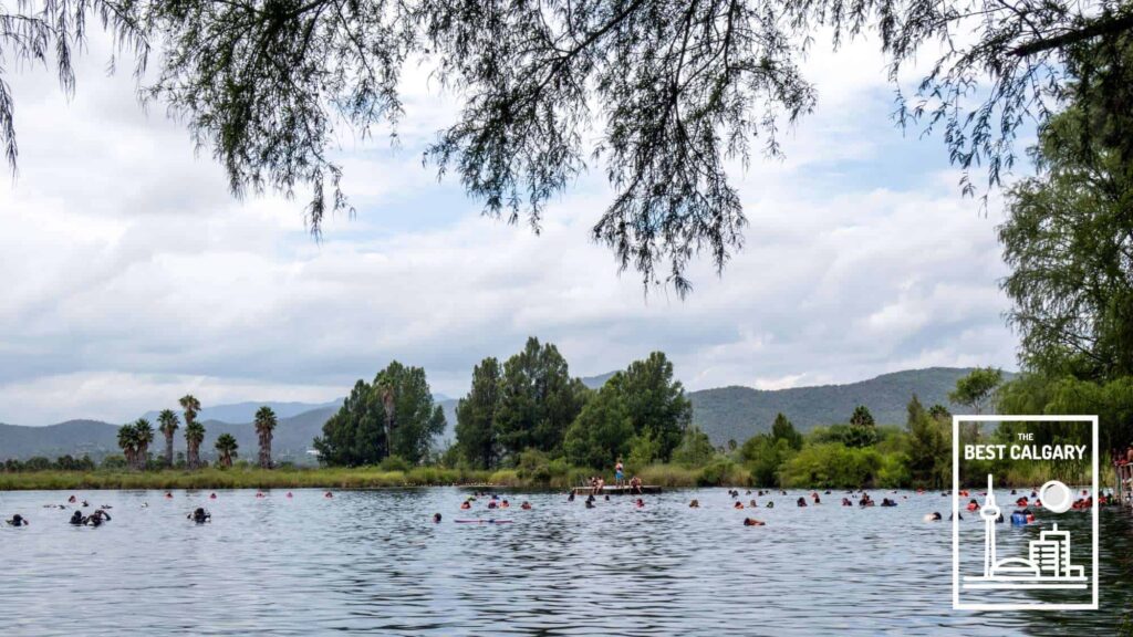A Guide to the Best Spots in Arbour Lake, Calgary